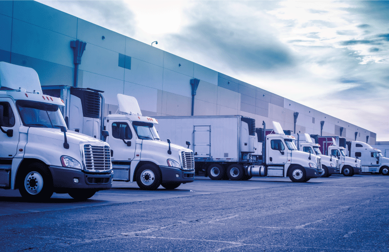 Gestión de transporte TMS